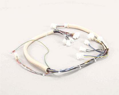 Pitco B6747101 Wiring,Spinal Tap Lwr W/Rel Brd S (PTB6747101)