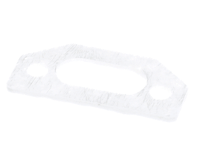 PVI 111791 Ignitor Gasket (PVII111791)