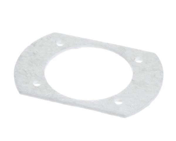 PVI 120493 Gasket (PVII120493)
