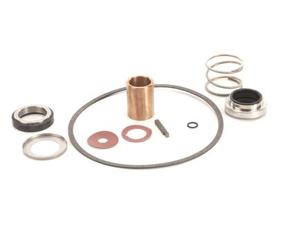 Power Soak Systems Inc 22462 Pump Seal Kit - Burks ( I ) (PWSK22462)