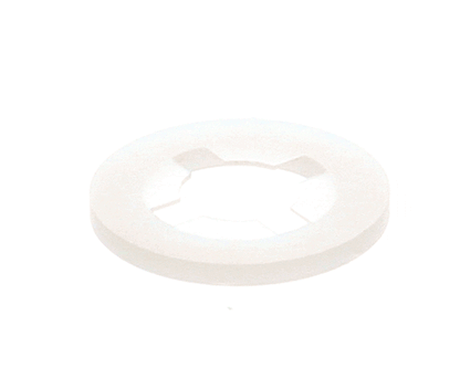 Power Soak Systems Inc 29652 Washer Retaining 5/16 Dia X .0 (PWSK29652)