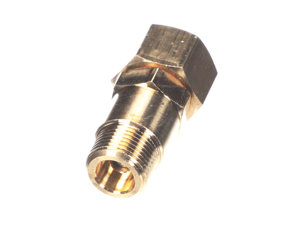 Rancilio 10060478 Check Valve (RA10060478)