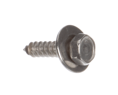 Rational 1004.2160 Hex Self Tapping Screw 4,2X16 Sold As 1 (RATL1004-2160)