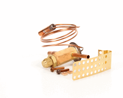 Randell RDRFVLV404 expansion valve 1/4 ton R404 RDRFBLZ404 (RDRFVLV404)