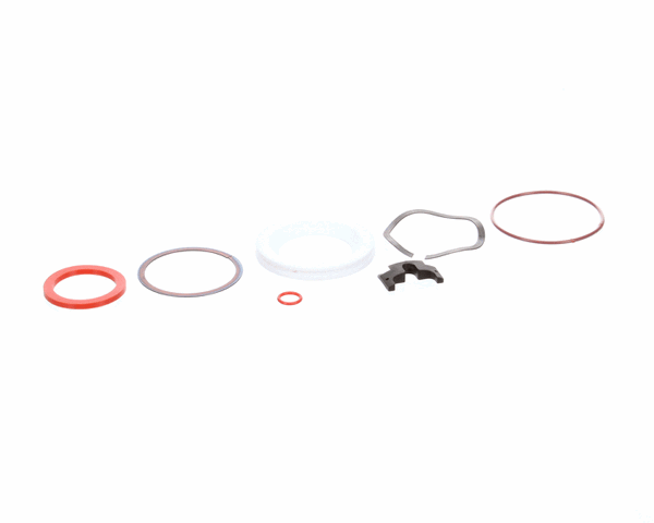 Component Hardware Dss-0010 Repair Kit, Dss And Dbn Drains (RESDSS-0010)