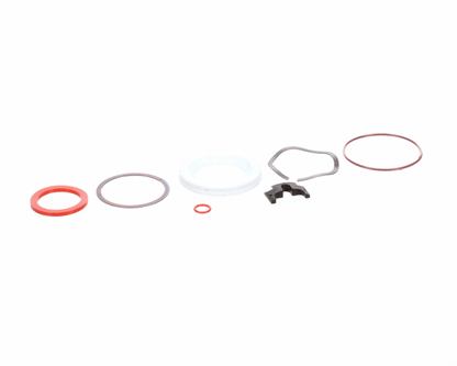 Component Hardware Dss-0010 Repair Kit, Dss And Dbn Drains (RESDSS-0010)