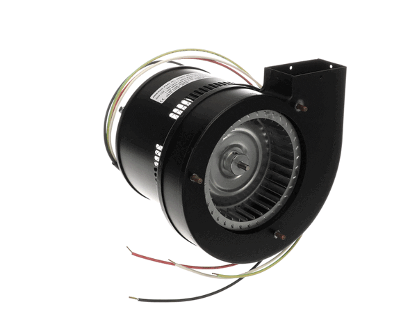 Reznor Rz270464 Motor, 2-Speed, 4-Wire, 120V, 60H (REZRZ270464)