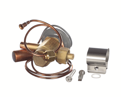 Rheem 61-104031-01 Pro Expansion Valve (RHM61-104031-01)