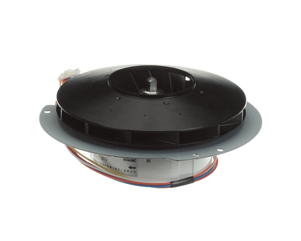 Rheem Rtg20239Bl Blower Motor (RHMRTG20239BL)