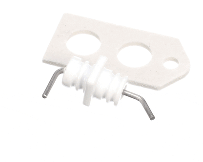 Rinnai 104000023 Kit, Electrode Kt (RIN104000023)