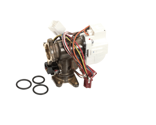 Rinnai 104000238 Water Flow Servo Valve Kit (RIN104000238)