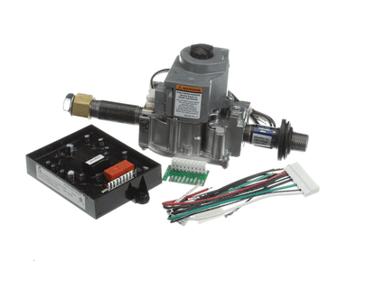 Re-Verber-Ray Tp-36Nkit Gas Valve Replacement Kit (RVRYTP-36NKIT)