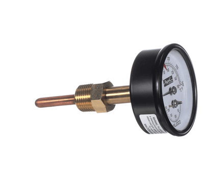 Raypak 007399F Temp/Pressure Gauge (RYP007399F)