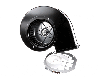 Raypak 007414F Blower Comb Air Rthand (RYP007414F)