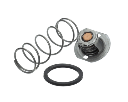 Raypak 062234B Governor (RYP062234B)