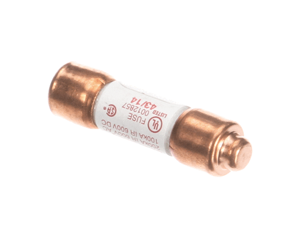 Salvajor SAL994095 Fuse, 1 Amp, 600 Volt, Used on 115/208-230 Volt Units (SAL994095)