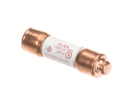Salvajor SAL994095 Fuse, 1 Amp, 600 Volt, Used on 115/208-230 Volt Units (SAL994095)