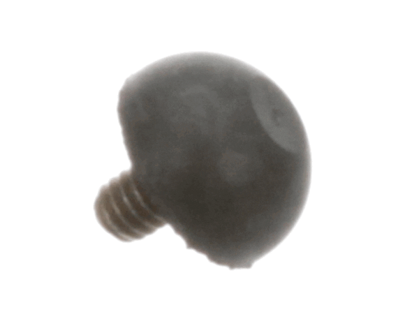 Server 81169 Foot W/Screw (SER81169)