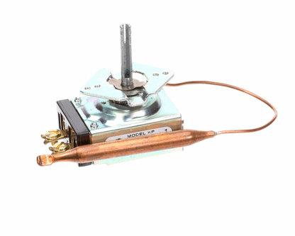 Server 84017 Thermostat 79C (SER84017)