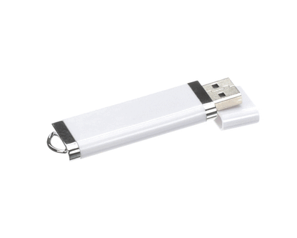 Schaerer 3370071917 Flash Drive 256Mb (SH3370071917)