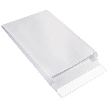 ship-lite-r-12-x-16-x-2-expandable-ship-lite-r-envelopes-sle12162we_1