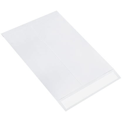 ship-lite-r-9-x-12-flat-ship-lite-r-envelopes-slf0912wh_1