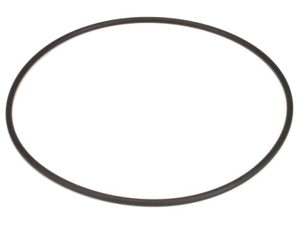 Saniserv 58982 O-Ring 8.725Id X 9.145Od (SS58982)