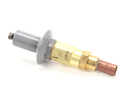 Saniserv 71042 Valve Auto Expansion (SS71042)