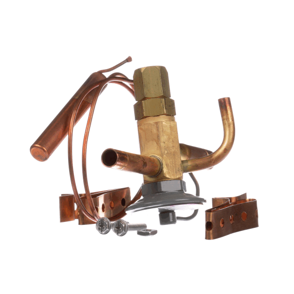 Saniserv 71151 Valve,Thermo Expansion (SS71151)