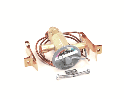 Stoelting 762443 Valve Expansion Thermostatic (STOE762443)