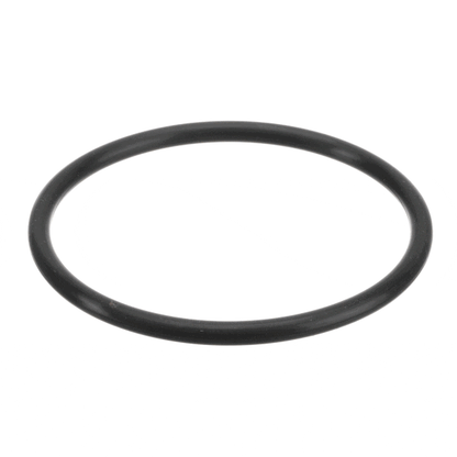 Stephan 0181 O-Ring (STP0181)