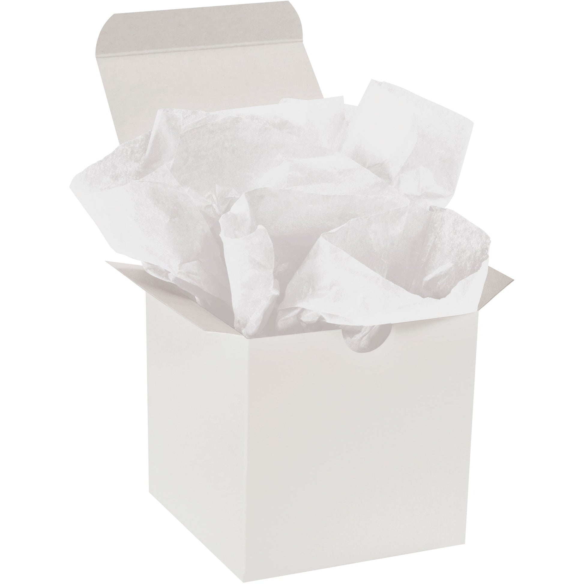 10-x-15-white-gift-grade-tissue-paper-t1015j_1