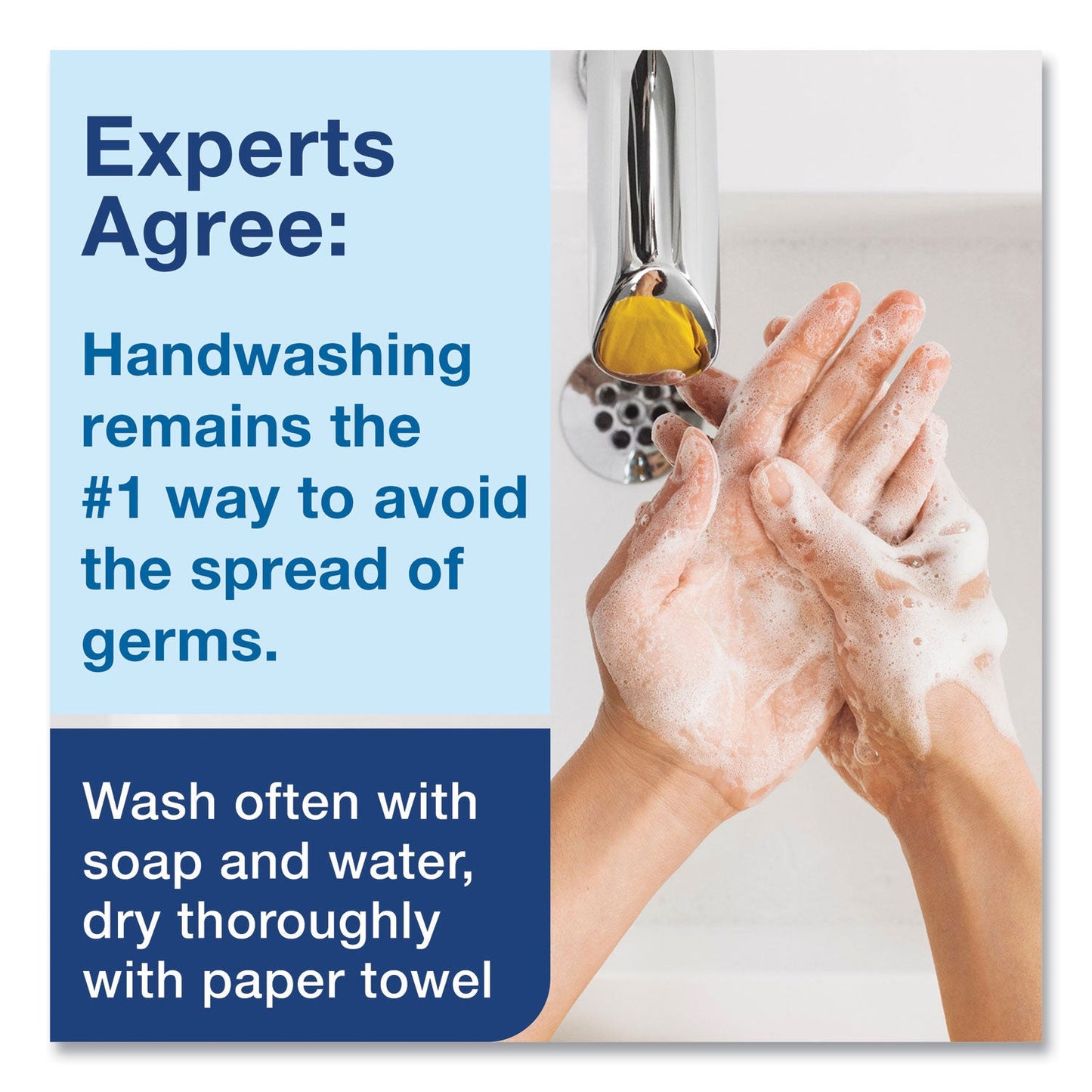 Tork Clarity Hand Soap, Unscented, 1 L Refill, Clear, 6/Carton (TRK401800)