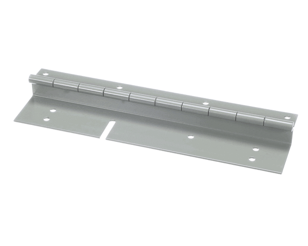 Trane HNG00106 Door Hinge 10 inches (TRNHNG00106)