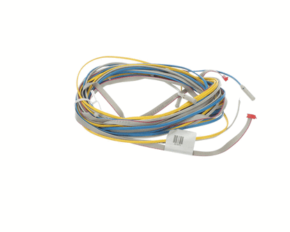 TRUE 207872 Probe Asm, Lae 4.0M, W/Ribbon Cable (TRUE207872)