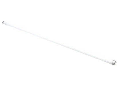 TRUE 801156 Lamp, F025/865/Xp/Eco 36 (TRUE801156)