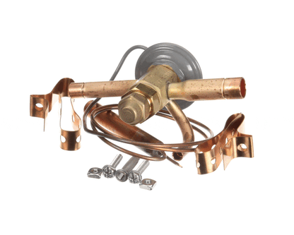 TRUE 813301 Valve Expansion Ebfse-Aac, Inlet Straine (TRUE813301)
