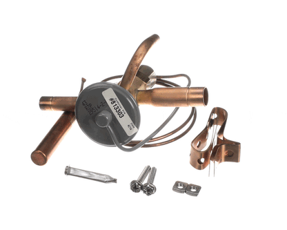 TRUE 813303 Valve Expansion Ebfse-Azp, Inlet Straine (TRUE813303)