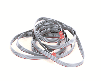 TRUE 930203 Ribbon Cable, Lae Fc06-20M01/ 2M (TRUE930203)