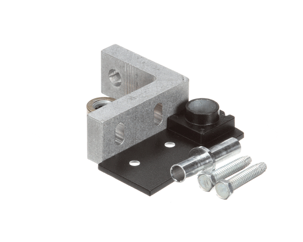 TRUE 967869 Hinge Kit Bottom Rt Gdm Black (TRUE967869)