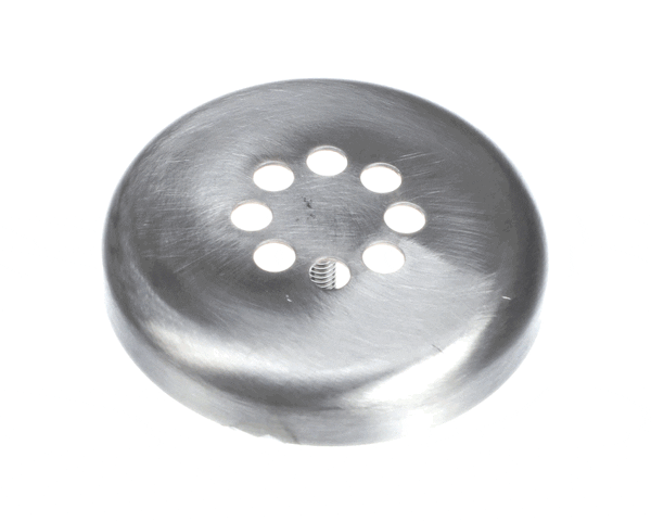 T&S Brass 013922-45 Overflow Strainer Face, Ssteel (TS013922-45)