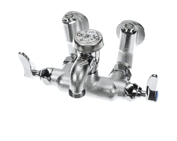 T&S Brass B-0669-Rgh Service Sink Faucet, Wall Mount, Adjusta (TSB-0669-RGH)