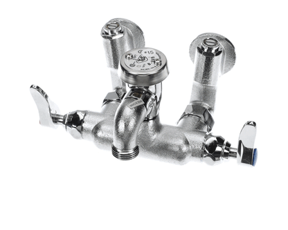 T&S Brass B-0669-Rgh Service Sink Faucet, Wall Mount, Adjusta (TSB-0669-RGH)