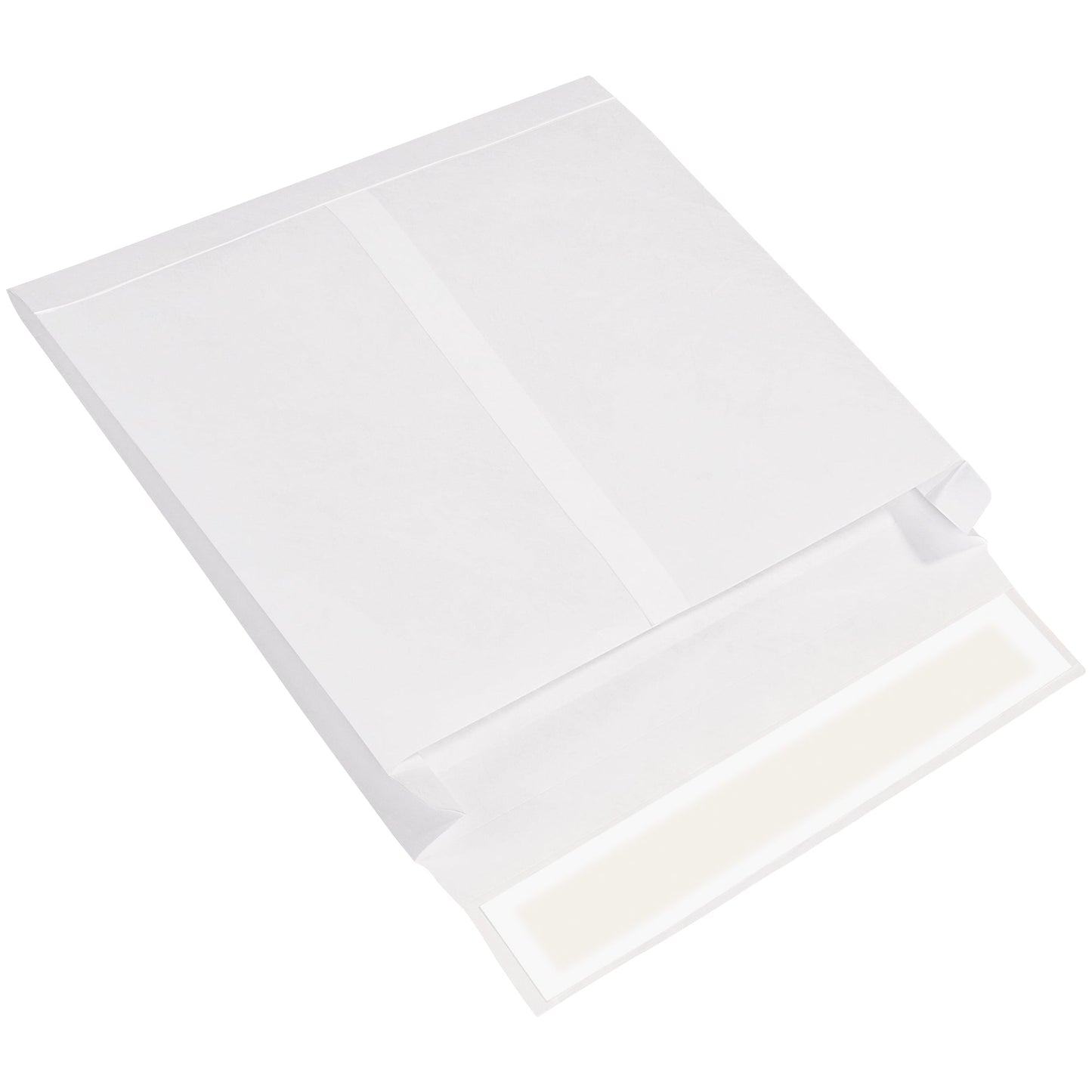 tyvek-r-tyvek-r-expandable-envelopes-10-x-13-x-2-white-100-case-tye10132ws_1
