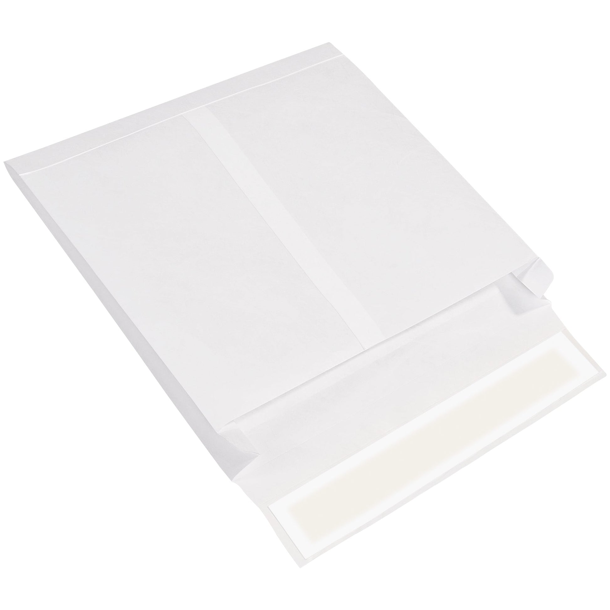 tyvek-r-tyvek-r-expandable-envelopes-10-x-13-x-2-white-100-case-tye10132ws_1