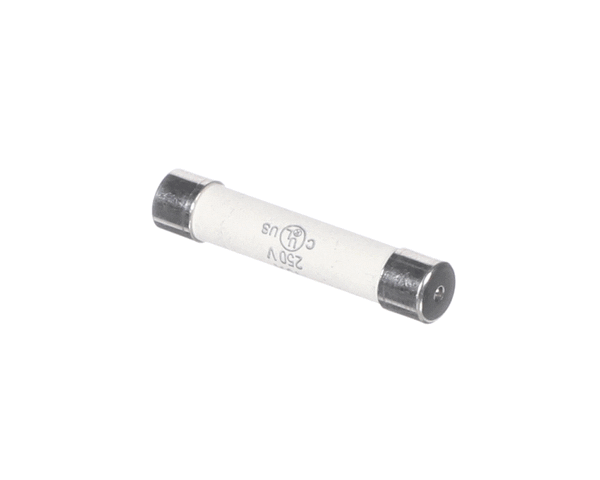 Varimixer R20E-418.10 Fuse (10A) (VARR20E-418-10)