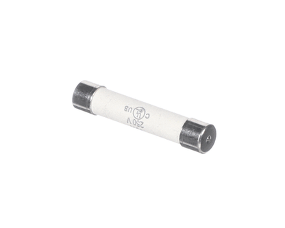 Varimixer R20E-418.10 Fuse (10A) (VARR20E-418-10)