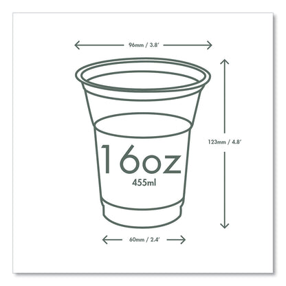 Vegware 96-Series Cold Cup, 16 oz, Clear/Green, 1,000/Carton (VEGR500YG)