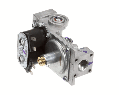 Vulcan Hart 00-497269-00003 Valve,Combo,W.R,25M72-704,Nat (VH00-497269-00003)