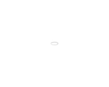 Waring 005320 Washer (WAR005320)